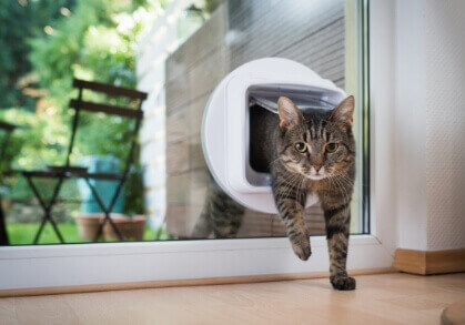 Pet Doors